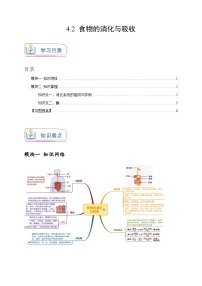 科学九年级上册第4章 代谢与平衡第2节 食物的消化与吸收巩固练习