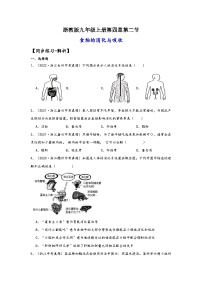浙教版（2024）九年级上册第4章 代谢与平衡第2节 食物的消化与吸收课后测评