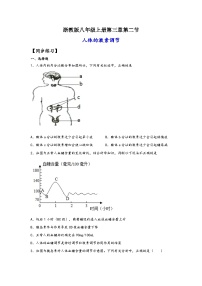 初中科学浙教版（2024）八年级上册第2节 人体的激素调节当堂检测题