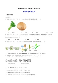 浙教版（2024）七年级上册第2章 观察生物第3节 生物体的结构层次当堂达标检测题