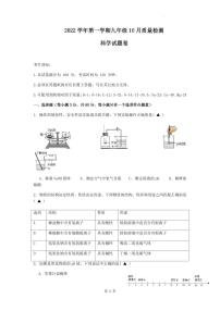 杭州市临平区部分校2022-2023学年九年级上学期10月月考科学试题及参考答案（PDF版，含答案）