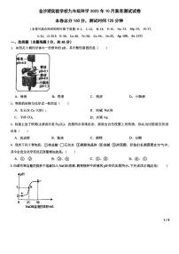 九年级2023你金沙湖实验科学10月月考卷（PDF版，不含答案）