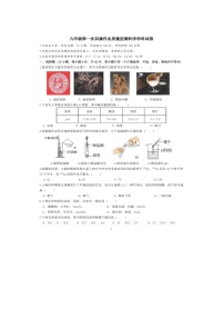 浙江省瑞安市新纪元学校2024-2025学年九年级上学期9月月考科学试题
