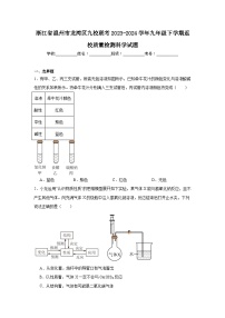 浙江省温州市龙湾区九校联考2023-2024学年九年级下学期返校质量检测科学试题