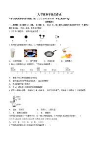 浙江省杭州市树兰中学2024-2025学年九年级上学期10月月考科学试卷(无答案)