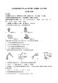 浙江省台州市玉环市实验初级中学2024-2025学年九年级上学期第一次月考科学试题