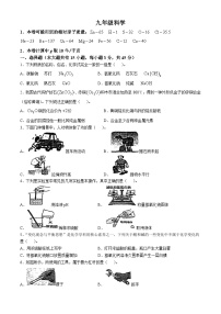 浙江省杭州市实验外国语学校2024-2025学年九年级上学期10月月考科学试题(无答案)