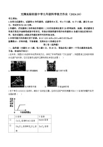 浙江省杭州文渊实验初级中学2024-2025学年九年级上学期月考科学试题(无答案)