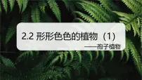 浙教版（2024）七年级上册第2节 细胞课前预习课件ppt