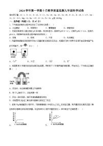 浙江省乐清市英华学校2024-2025学年九年级上学期10月月考科学卷(无答案)