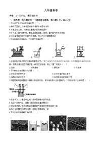 浙江省杭州市采荷中学2024-2025学年八年级上学期10月月考科学试题(无答案)
