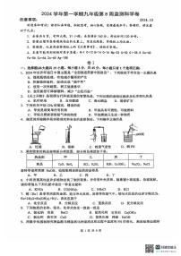 浙江省温州市瑞安龙湾六校联考2024-2025学年九年级上学期10月期中科学试题