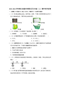 2023-2024学年浙江省温州市洞头区九年级（上）期中科学试卷