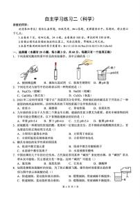 浙江省杭州市锦绣育才教育集团2024-2025学年九年级上学期月考科学试题