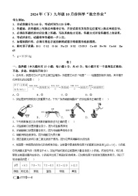 浙江省温州市龙湾私立学校联考2024-2025学年九年级上学期10月独立作业科学试题(无答案)