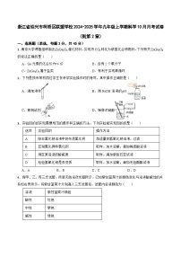 浙江省绍兴市柯桥区联盟学校2024-2025学年九年级上学期科学10月月考科学试卷（到第2章）