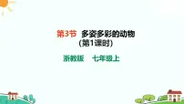 初中科学浙教版（2024）七年级上册（2024）第3节 多姿多彩的动物精品ppt课件
