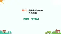 初中科学第3节 多姿多彩的动物一等奖课件ppt