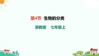 科学第2章 丰富多彩的生命世界第4节 生物的分类优质课ppt课件