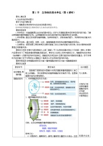 浙教版（2024）七年级上册（2024）第1节 生物体的基本单位优秀第4课时教案