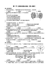 浙教版（2024）七年级上册（2024）第1节 生物体的基本单位精品第4课时测试题