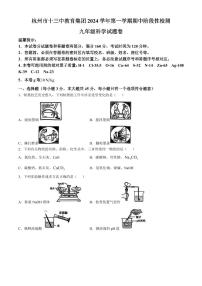 杭州市十三中教育集团2024-2025学年九年级上学期期中科学试题