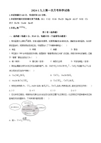 浙江省杭州外国语学校2024-2025学年九年级上学期第一次月考科学试题