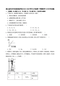 浙江省杭州市西溪实验学校2024-2025学年九年级上学期10月月考科学试题