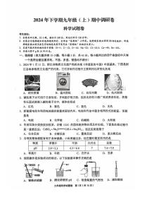 浙江省金华市东阳市六石三校联考2024-2025学年九年级上学期11月期中科学试题