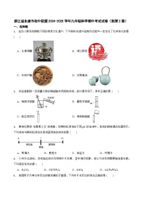 浙江省永康市初中联盟2024-2025学年九年级上学期期中考试科学试卷（到第2章）