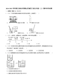 浙江省杭州市萧山区八校2024-2025学年九年级上学期11月期中科学试题