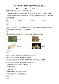 浙江省绍兴市新昌县七星中学2024-2025学年九年级上学期10月月考科学试题（解析版）-A4