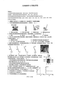 浙江省杭州市十三中教育集团2024-2025学年九年级上学期12月月考考试科学试题卷