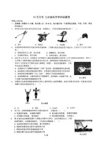 浙江省宁波市海曙区储能学校2024-2025学年九年级上学期12月月考科学试卷