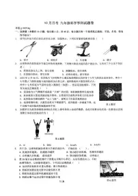 浙江省宁波市海曙区储能学校2024-2025学年九年级上学期12月月考科学试卷