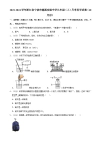 浙江省宁波市慈溪实验中学2023-2024学年九年级上学期10月月考科学试卷-A4