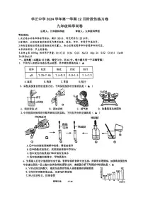 浙江省杭州市钱塘区学正中学2024-2025学年九年级上学期12月月考科学试题
