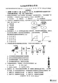 浙江省杭州市临平区2024-2025学年九年级上学期12月月考科学试卷