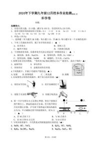 浙江省金华义乌三校联考2024-2025学年九年级上学期12月校本作业检测科学试卷