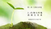 科学第2章 生物与环境第 1 节 生物与环境的相互关系精品作业课件ppt