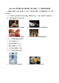 2023-2024学年浙江省宁波市南三县七年级（上）期末科学试卷
