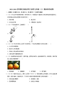 2023-2024学年浙江省杭州市八县区七年级（上）期末科学试卷