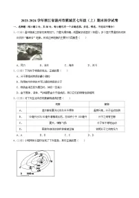 2023-2024学年浙江省温州市鹿城区七年级（上）期末科学试卷