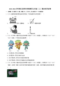 2023-2024学年浙江省绍兴市柯桥区七年级（上）期末科学试卷