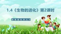 浙教版（2024）九年级下册第1章 演化的自然第 4 节 生物的进化优质ppt课件