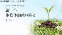 浙教版（2024）七年级下册（2024）第1节 生物体的结构层次评课课件ppt