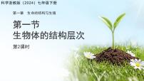 初中科学浙教版（2024）七年级下册（2024）第1节 生物体的结构层次课文配套课件ppt
