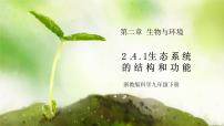 初中科学浙教版（2024）九年级下册第 4 节 生态系统的结构和功能评优课ppt课件