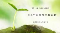 初中科学浙教版（2024）九年级下册第 5 节 生态系统的稳定性优质课ppt课件