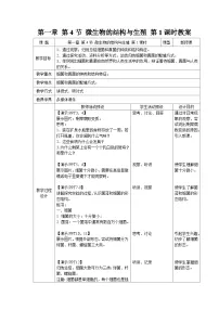 初中科学浙教版（2024）七年级下册（2024）微生物的结构与生殖第1课时教学设计及反思